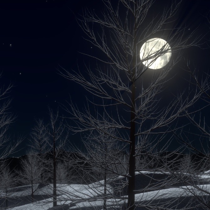 paesaggio notturno con neve e luna