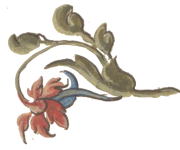 disegno floreale da